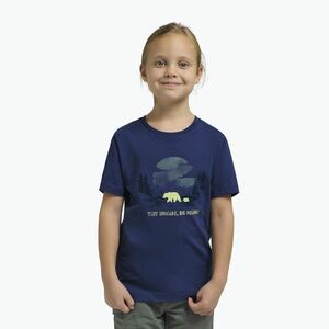 Jack Wolfskin gyerek póló Graphic Cotton T print esti égbolt (Graphic Cotton T A64185_T0220) kép