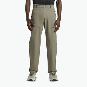 Jack Wolfskin Pico Trail stone férfi trekking nadrág (Pico Trail A63904_4030) kép