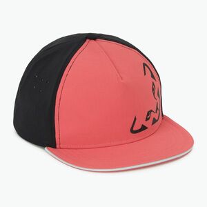 DYNAFIT Tech Trucker cabana baseball sapka (Tech Trucker 08-0000071137) kép