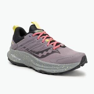 Női futócipő Saucony Ride Trail 2 woodrose (Ride Trail 2 S10951-160) kép