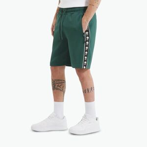 Férfi Pitbull Track Shorts Powers palack zöld (Track Shorts Powers 315043371004) kép