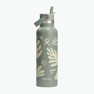 Hydro Flask Standard Flex Straw termikus palack 620 ml botanical bliss/agave (Standard Flex Straw S21CFS377P) kép