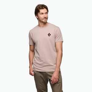 Férfi Black Diamond Equipmnt For Alpinist póló pale mauve (Equipmnt For Alpinist APYL4X) kép