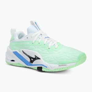 Mizuno Wave Stealth Neo 2 kézilabda cipő menta/fekete/frontkék (Wave Stealth Neo 2 X1GA240086) kép