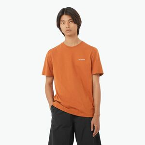 Férfi Salomon Logo Tee sierra póló (Logo Tee LC2526500) kép