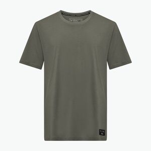 Férfi Salewa Eagle Logo Patch póló 5A50 fakó zöld (Eagle Logo Patch 00-0000029153) kép