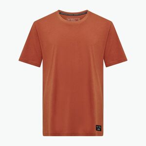 Férfi Salewa Eagle Logo Patch póló 7240 bombay barna (Eagle Logo Patch 00-0000029153) kép