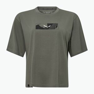 Női Salewa Eagle Hybrid Loose Loose fakó zöld póló (Eagle Hybrid Loose 00-0000029105) kép