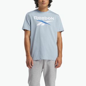 Férfi Reebok Reebok Identity Big Logo Tee upgrade kék (Identity Big Logo Tee 100216168) kép