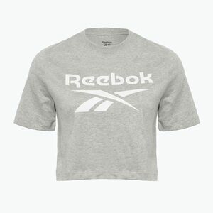 Női Reebok Identity Big Logo Crop Tee középszürke szürke sáska (Identity Big Logo Crop Tee 100037590) kép