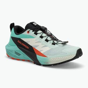 Női futócipő Salomon Sense Ride 5 bay/fekete/cseresznye paradicsom (Sense Ride 5 L47698300) kép