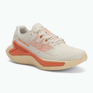 Női futócipők Salomon Drx Bliss 2 vanila/tender/fuco (Drx Bliss 2 L47764500) kép