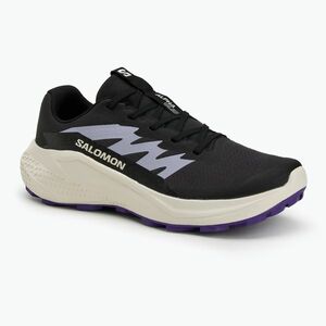 Salomon Alphaglide női futócipő phantom/vanilla ice/liberty (Alphaglide L47801800) kép