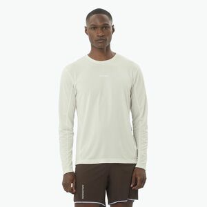 Férfi Salomon SHAKEout Core jégcsapos futó hosszú ujjú ruha (SHKout Core LC2424500) kép