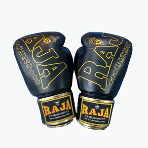 RAJA BOXING Origin Standard valódi bőr bokszkesztyű fekete (Origin Standard Genuine Leather RBGV-GL-1A-BC) kép