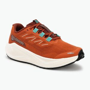 Női futócipő Salomon Aero Blaze 3 GRVL égett okkersárga/vanília jég (Aero Blaze 3 GRVL L47915000) kép