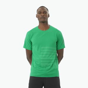 Férfi Salomon Sense Aero Tee GFX parakeet / spearmintme futópóló (Sense Aero Tee GFX LC2694700) kép