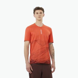 Férfi futópóló Salomon S/Lab Ultra Tee Aop burnt sienna (S/Lab Ultra Tee Aop LC2449700) kép