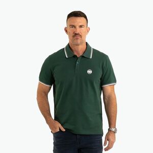 Férfi Pitbull Polo Shirt Pique Stripes Regular jáde zöld (Polo Pique Stripes Regular 243003390005) kép