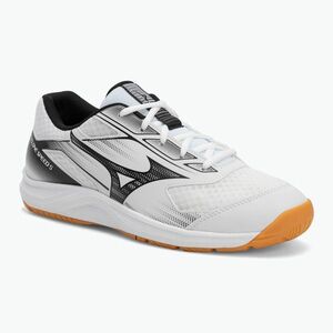 Mizuno Cyclone Speed 5 röplabda cipő fehér/fekete/szarvasbőr (Cyclone Speed 5 V1GA258055) kép