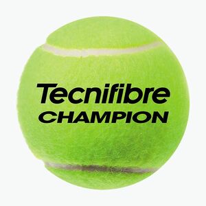 Tecnifibre Champion One teniszlabdák 4 db. (Champion One 60CHAM364N) kép