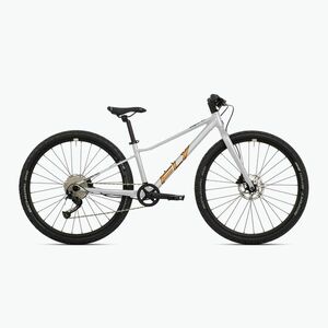 Ifjúsági kerékpár Superior F.L.Y. 27 matt ezüst (F.L.Y. 27 801.2025.27018) kép