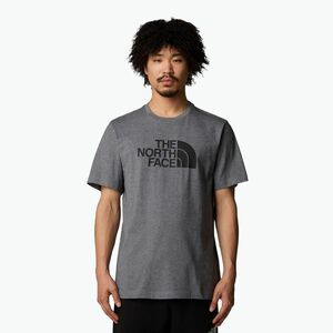 Férfi The North Face Easy t-shirt tnf medium grey heather (Easy NF0A8A6CDYY1) kép