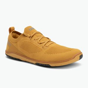 Női mezítlábas cipő Xero Shoes Nexus Knit arany (Nexus Knit NEXW-GOLD) kép