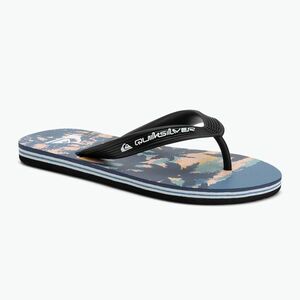 Quiksilver Molokai Art 25 Ifjúsági flip flop tüzes koronakék trópusi kék tropicamo (Molokai Art 25 Youth AQBL100624-BLQ8) kép