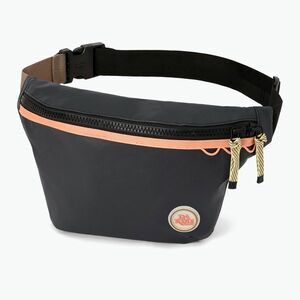 Dakine Renovation Hip vesetáska fekete (Renovation Hip D10004200) kép