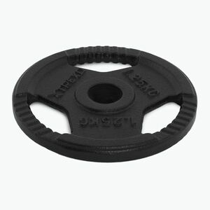XTREXO öntöttvas súly TRX-ICP001 1, 25 kg króm (TRX-ICP001) kép