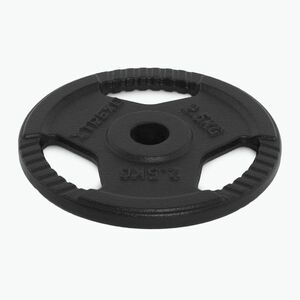 XTREXO öntöttvas súly TRX-ICP002 2, 5 kg króm (TRX-ICP002) kép