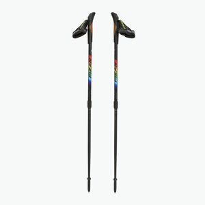 Fizan Speed JR szivárványszínű gyermek nordic walking botok (Speed JR 100047) kép