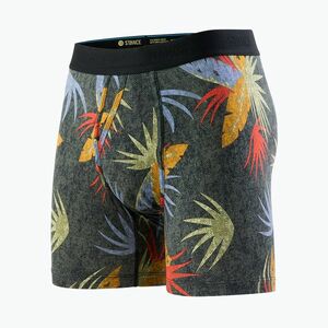 Férfi Stance Yacht Club Wholester fekete boxeralsó (Yacht Club Wholester M901A25YAC-BLK) kép