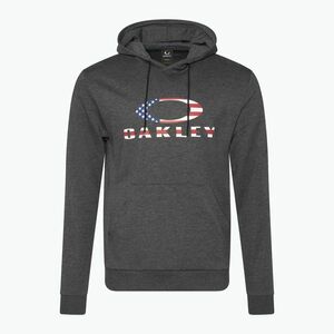 Férfi Oakley Bark Fleece kapucnis pulóver sötétszürke szürke sáska (Bark Fleece Hoodie FOA406921) kép