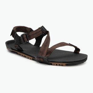 Férfi mezítlábas szandálok Xero Shoes Z-Trail EV multi / barna (Z-Trail EV TTM-MBRN) kép