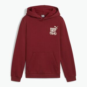 Puma ESS+ FL Hoodie - Férfi pulóver kép