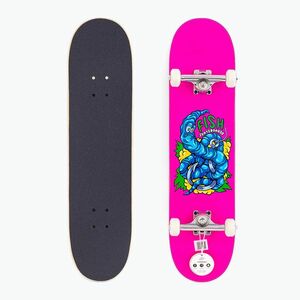 Fish Skateboards Kezdő Erie 8.0" klasszikus gördeszka (Beginner Erie 8.0" SKATE-BEG-ERI-PK) kép