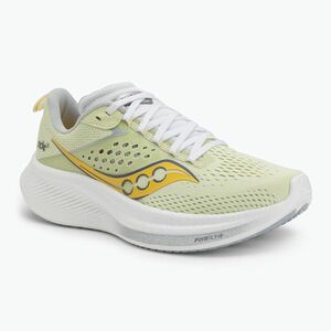 Női futócipő Saucony Ride 17 páfrányfenyő/felhő (Ride 17 S10924-111) kép