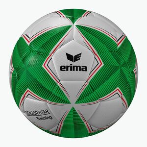 ERIMA Senzor Star Training zöld 4-es méretű futball labdarúgás (Senzor Star Training 7192502) kép