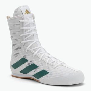 adidas Box Hog 4 felhő fehér/kollegiális zöld/magfekete boksz cipő (Box Hog 4 IH2731) kép