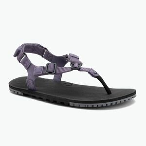 Női mezítlábas szandálok Xero Shoes H-Trail zsálya lila (H-Trail HTW-SGPU) kép