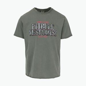 Pitbull Ace Of Spades férfi póló tompított zöld (Ace Of Spades 215147341005) kép