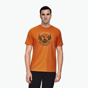 Alpinus férfi Kitreli póló narancssárga (Kitreli FP11904) kép