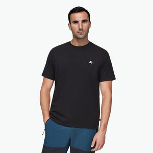 Alpinus Tokat férfi póló sötétszürke/fekete (Tokat FP11880) kép