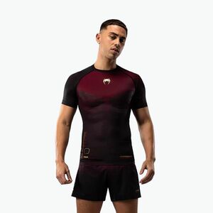 Venum Tactical XT Rashguards férfi edzőpóló fekete/burgundi/arany (Tactical XT Rashguards VENUM-05523-139) kép