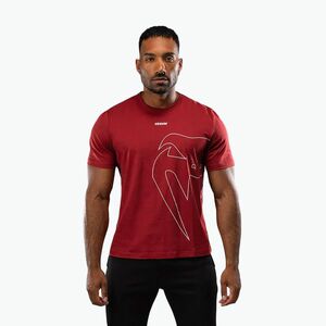 Férfi Venum Giant Connect póló karmin (Giant Connect T-Shirt VENUM-04875-050) kép