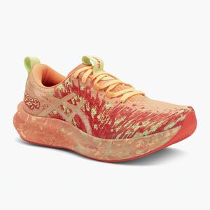 Férfi ASICS Noosa Tri 16 futócipő narancssárga izzó/villanó piros (Noosa Tri 16 1011B872-800) kép