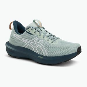 ASICS GT-1000 14 TR férfi futócipő természetfürdő/lichen rock (GT-1000 14 TR 1011C131-300) kép