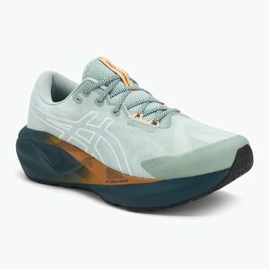 ASICS Novablast 5 TR férfi futócipő természetfürdő/lichen rock (Novablast 5 TR 1011C138-300) kép